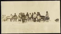 036. Getting ready to leave a village - leaving Barrow [Utqiagvik] herd