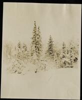 086. On Kugruk River between Selawik and Kobuk