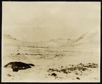 071. Northern entrance of the Mosquito Pass