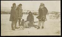 082. Inspecting the meat herd at Nome