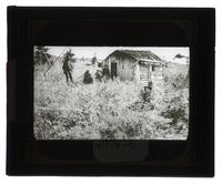 Lantern Slide #010: Native American dwelling