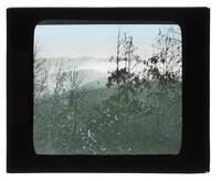 Lantern Slide #040: Landscape, North Carolina