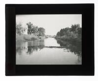 Lantern Slide #073: Bayou Grand Caillou, Louisiana