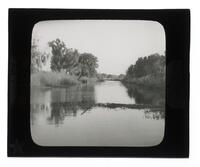 Lantern Slide #074: Bayou Grand Caillou, Louisiana