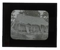 Lantern Slide #083: Houma Louisiana palmetto house