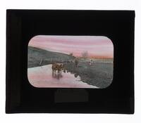 Lantern Slide #192: Martha's Vineyard and Noepe