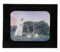 Lantern Slide #198: Feeding the chickens