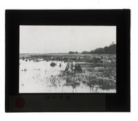 Lantern Slide #207: Landscape