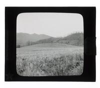 Lantern Slide #216: Mound, Ferguson farm, Governor Island, North Carolina