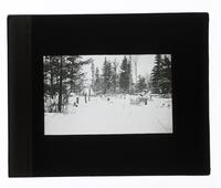 Lantern Slide #240: Winter landscape