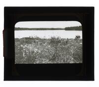 Lantern Slide #245: Landscape