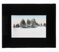 Lantern Slide #246: Winter landscape