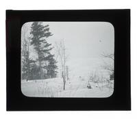 Lantern Slide #251: Winter landscape