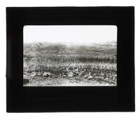 Lantern Slide #286: Landscape