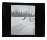 Lantern Slide #311: Montagnais-Naskapi man with sled