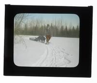 Lantern Slide #312: Montagnais-Naskapi man with dog, sled