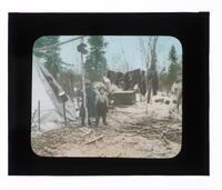 Lantern Slide #317: Montagnais-Naskapi children at winter settlement