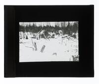 Lantern Slide #318: Winter settlement