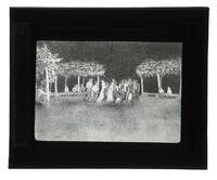 Lantern Slide #377: Yuchi bush ceremony, night dance, turtle dance