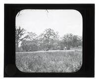 Lantern Slide #381: Landscape