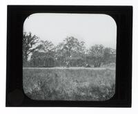 Lantern Slide #383: Ceremonial grounds