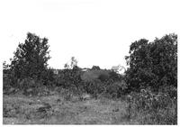 F-253: Houses near Manitou Rapids