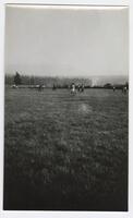 08: Game in a field, Port Alberni, circa 1910s