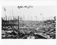 A070: En route on Berens River, landscape after forest fire, Manitoba, 1933