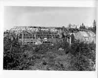 A184: Group of Ojibwe people at waabano lodge, Little Grand Rapids, Manitoba, circa 1930s