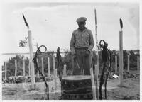 A164: Getagaash Keeper and drum, preparation for Dream Dance Ceremonies, Little Grand Rapids, Manitoba, circa 1930s