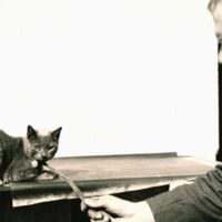 Charles Benedict Davenport and cat.