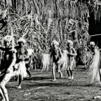 Yanomamo dance