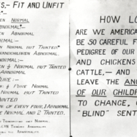 Chart used at Kansas Free Fair showing "marriages fit and unfit" with outcomes of "pure" and "abnormal" unions.