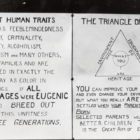 Chart used at Kansas Free Fair describing "unfit human traits" and the importance of eugenic marriage.