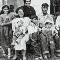 A-337: Atoine Bittern and family