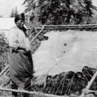 A-276: Ojibwa women stretching hide