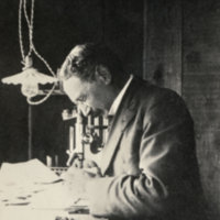 Jacques Loeb at the Microscope.