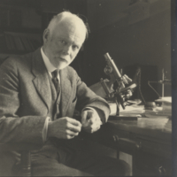 E. B. Wilson with microscope.