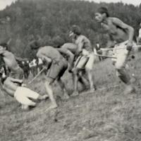 Cherokee ball game