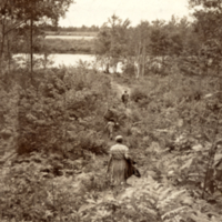 8-40-b: View of Penobscot River from Indian trail on Orson Island, 1941.