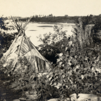 9-17-j: View of dwelling surrounded by plants and trees.