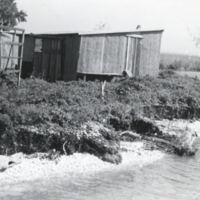 Tchefuncte shell mound