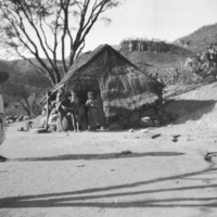 Tepecano dwelling near hillside