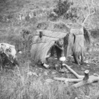 Tepecano straw hut