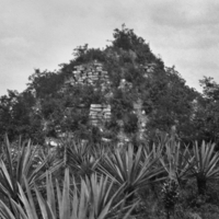 Mayan ruins with vegatation