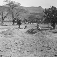 Tepecano men planting