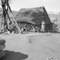 Tepecano thatch-roof dwelling