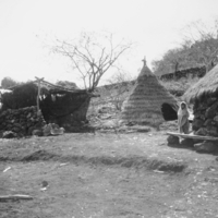 Tepecano dwellings