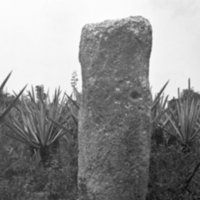 Mayan stele