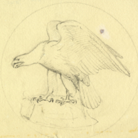 Design for coin or medallion (eagle)